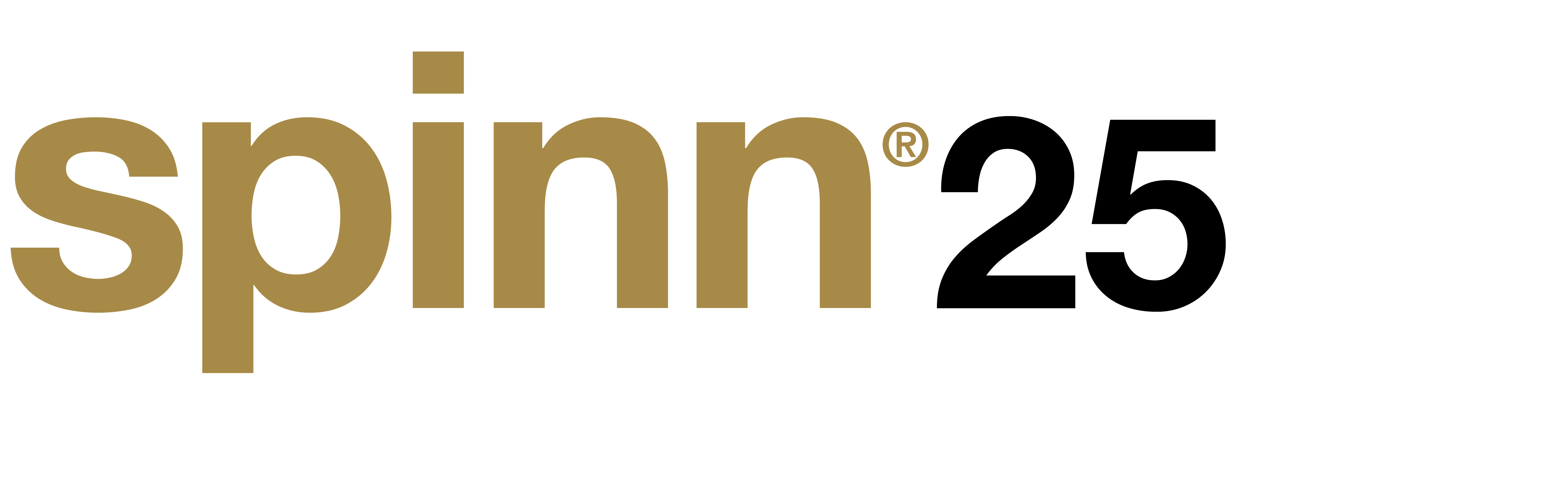 Spinn awards 2025 finalist