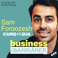 businessandbarriers-sam-foroozesh