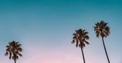 collaborate-influencer-marketing-agency