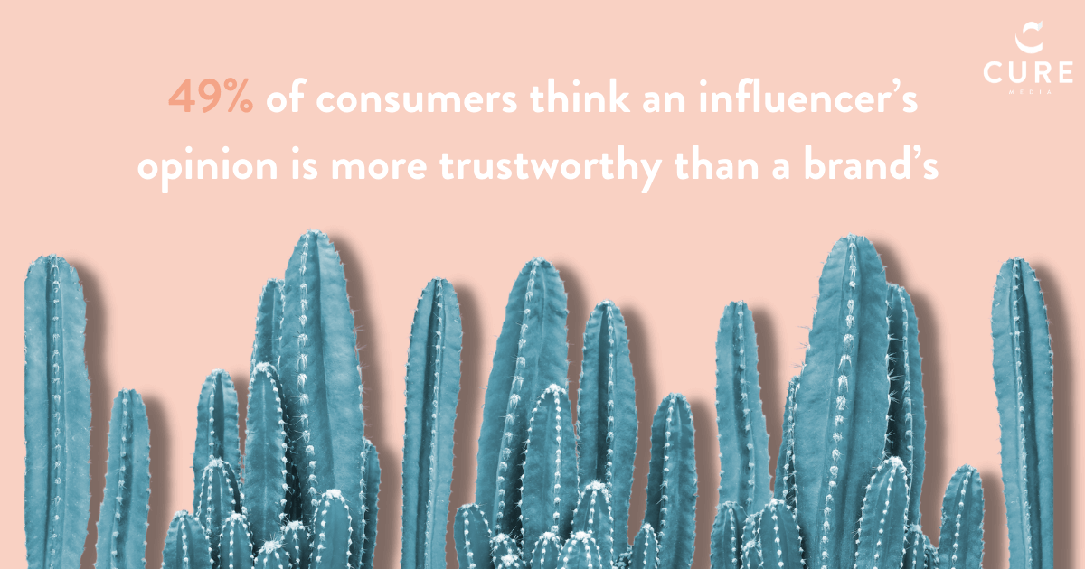 A row of cacti - 49% consumers trust influencers more than brands